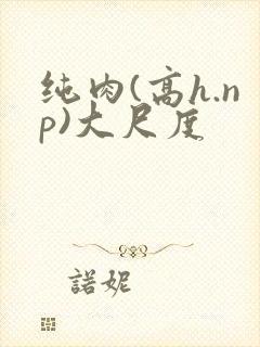 纯肉(高h.np)大尺度