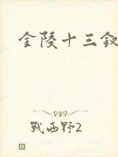 金陵十三钗原著