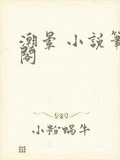 潮晕 小说笔趣阁