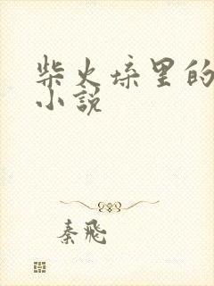 柴火垛里的疯狂小说