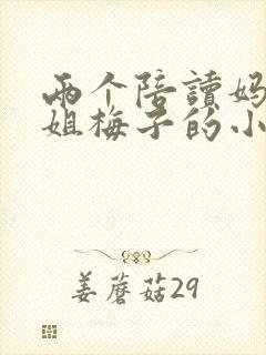 两个陪读妈妈赵姐梅子的小说