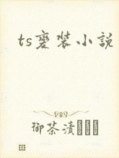 ts变装小说