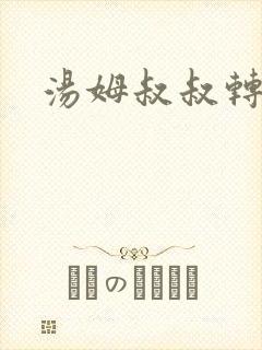 汤姆叔叔转接口