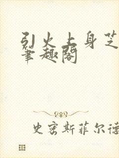 引火上身芝麻糖笔趣阁