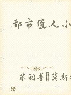 都市猎人小说