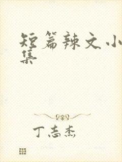 短篇辣文小说合集