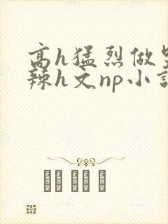 高h猛烈做哭高辣h文np小说