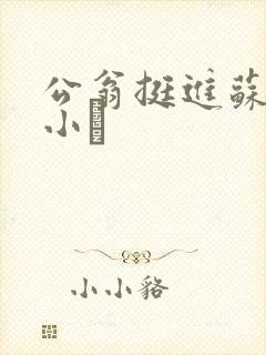 公翁挺进苏玥的小泬