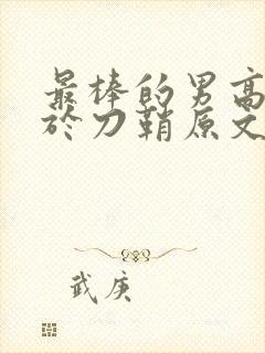 最棒的男高中生于刀鞘原文阅读