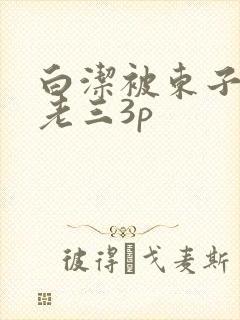 白洁被东子老二老三3p