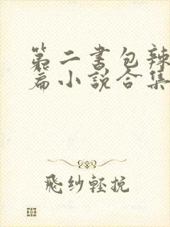 第二书包辣网短篇小说合集