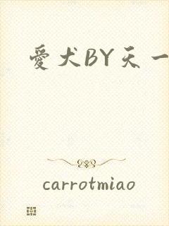 爱犬BY天一