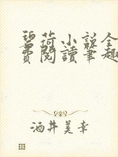 碧荷小说全文免费阅读笔趣阁