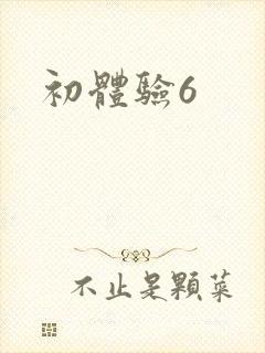 初体验6