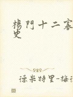 杨门十二寡妇艳史