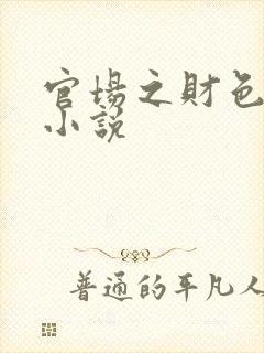 官场之财色诱人小说