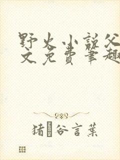 野火小说父女全文免费笔趣阁