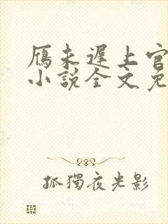 雁未迟上官穿越小说全文免费阅读