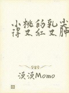 小桃的乳尖被吸得又红又肿