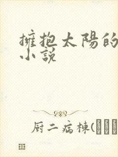 拥抱太阳的月亮小说