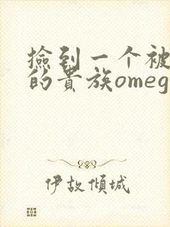 捡到一个被抹布的贵族omega