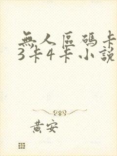 无人区码卡二卡3卡4卡小说