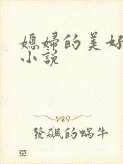 媳妇的美好时代小说