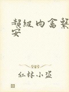 超级肉禽系统保安