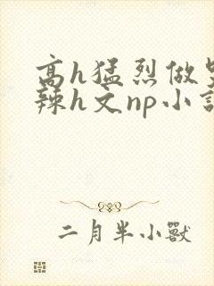 高h猛烈做哭高辣h文np小说