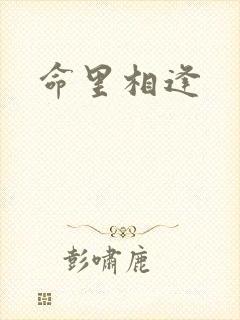 命里相逢