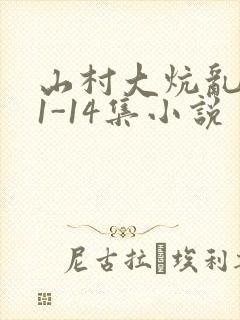 山村大炕乱肉续1-14集小说