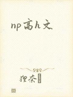 np高h文