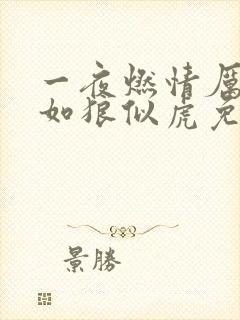 一夜燃情厉先生如狼似虎免费阅读