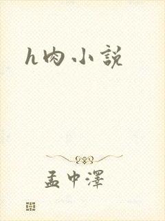 h肉小说