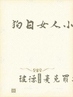 狗日女人小说