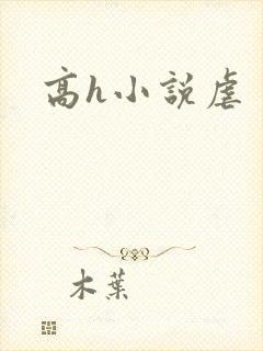 高h小说虐