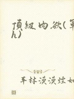 顶级肉欲(军高h)