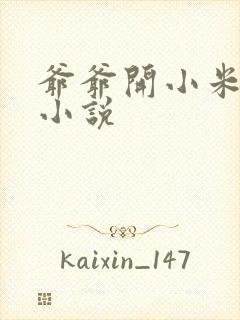 爷爷开小米的包小说