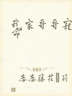 我家哥哥宠妹如命