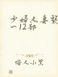 少妇人妻系列1～12部