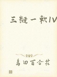 三糙一软1V3