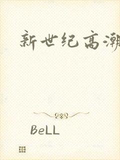 新世纪高潮战队