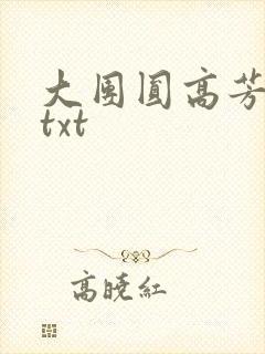 大团圆高芳小说txt