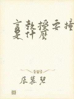 言教授要撞坏了是什么