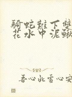 骑蛇难下双金银花水中泥鳅