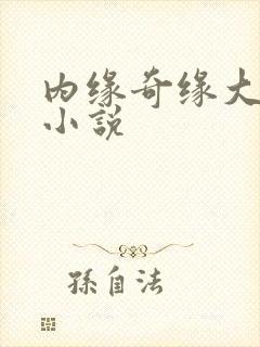 内缘奇缘大团圆小说封面
