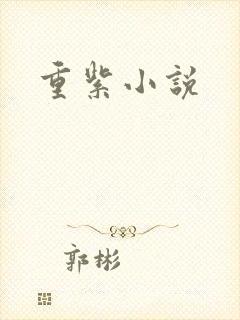 重紫小说