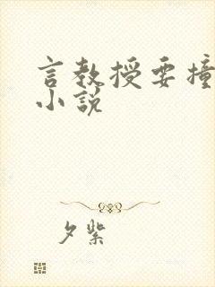 言教授要撞坏了小说