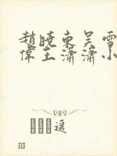 赵晓东吴雪晴郑伟王潇潇小说