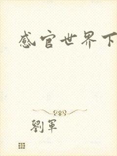 感官世界下载